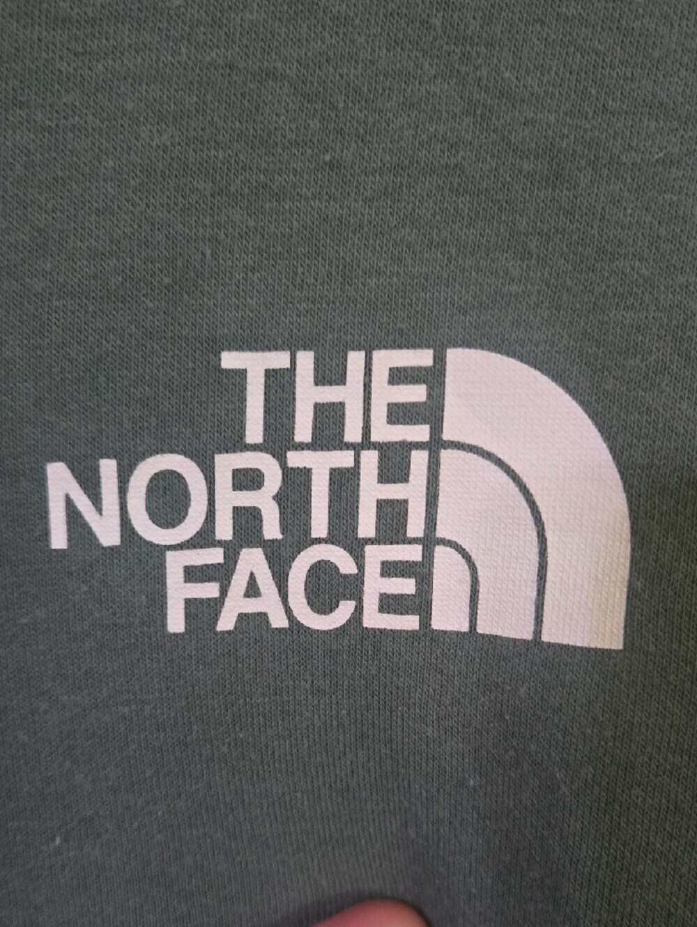 The North Face Men's Pullover Hoodie in Sage Green - Picture 3 of 5